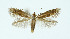  ( - NHMO-DAR-10381)  @11 [ ] CreativeCommons - Attribution Non-Commercial Share-Alike (2016) Unspecified University of Oslo, Natural History Museum