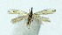  ( - NHMO-DAR-10382)  @12 [ ] CreativeCommons - Attribution Non-Commercial Share-Alike (2016) Unspecified University of Oslo, Natural History Museum