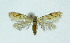  ( - NHMO-DAR-10385)  @14 [ ] CreativeCommons - Attribution Non-Commercial Share-Alike (2016) Unspecified University of Oslo, Natural History Museum