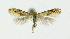  ( - NHMO-DAR-10386)  @14 [ ] CreativeCommons - Attribution Non-Commercial Share-Alike (2016) Unspecified University of Oslo, Natural History Museum
