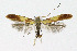  ( - NHMO-DAR-10406)  @13 [ ] CreativeCommons - Attribution Non-Commercial Share-Alike (2016) Unspecified University of Oslo, Natural History Museum
