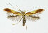  ( - NHMO-DAR-10407)  @13 [ ] CreativeCommons - Attribution Non-Commercial Share-Alike (2016) Unspecified University of Oslo, Natural History Museum