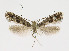 ( - NHMO-DAR-10432)  @14 [ ] CreativeCommons - Attribution Non-Commercial Share-Alike (2016) Unspecified University of Oslo, Natural History Museum