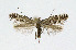  ( - NHMO-DAR-10439)  @11 [ ] CreativeCommons - Attribution Non-Commercial Share-Alike (2016) Unspecified University of Oslo, Natural History Museum