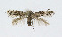  ( - NHMO-DAR-10440)  @14 [ ] CreativeCommons - Attribution Non-Commercial Share-Alike (2016) Unspecified University of Oslo, Natural History Museum