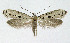  ( - NHMO-DAR-10456)  @14 [ ] CreativeCommons - Attribution Non-Commercial Share-Alike (2016) Unspecified University of Oslo, Natural History Museum