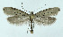  ( - NHMO-DAR-10457)  @13 [ ] CreativeCommons - Attribution Non-Commercial Share-Alike (2016) Unspecified University of Oslo, Natural History Museum