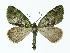  ( - NHMO-DAR-10476)  @14 [ ] CreativeCommons - Attribution Non-Commercial Share-Alike (2016) Unspecified University of Oslo, Natural History Museum