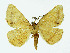  ( - NHMO-DAR-10556)  @14 [ ] CreativeCommons - Attribution Non-Commercial Share-Alike (2016) Unspecified University of Oslo, Natural History Museum