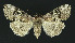  ( - NHMO-DAR-10773)  @13 [ ] CreativeCommons - Attribution Non-Commercial Share-Alike (2016) Unspecified University of Oslo, Natural History Museum