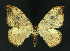  ( - NHMO-DAR-10791)  @13 [ ] CreativeCommons - Attribution Non-Commercial Share-Alike (2016) Unspecified University of Oslo, Natural History Museum