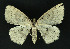  ( - NHMO-DAR-10797)  @13 [ ] CreativeCommons - Attribution Non-Commercial Share-Alike (2016) Unspecified University of Oslo, Natural History Museum