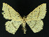  ( - NHMO-DAR-10801)  @13 [ ] CreativeCommons - Attribution Non-Commercial Share-Alike (2016) Unspecified University of Oslo, Natural History Museum