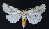  ( - NHMO-DAR-10811)  @13 [ ] CreativeCommons - Attribution Non-Commercial Share-Alike (2016) Unspecified University of Oslo, Natural History Museum