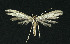  ( - NHMO-DAR-10971)  @13 [ ] CreativeCommons - Attribution Non-Commercial Share-Alike (2016) Unspecified University of Oslo, Natural History Museum