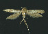  ( - NHMO-DAR-11006)  @13 [ ] CreativeCommons - Attribution Non-Commercial Share-Alike (2016) Unspecified University of Oslo, Natural History Museum