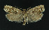  ( - NHMO-DAR-11050)  @14 [ ] CreativeCommons - Attribution Non-Commercial Share-Alike (2016) Unspecified University of Oslo, Natural History Museum