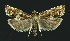  ( - NHMO-DAR-11051)  @14 [ ] CreativeCommons - Attribution Non-Commercial Share-Alike (2016) Unspecified University of Oslo, Natural History Museum