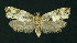  ( - NHMO-DAR-11056)  @13 [ ] CreativeCommons - Attribution Non-Commercial Share-Alike (2016) Unspecified University of Oslo, Natural History Museum