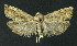  ( - NHMO-DAR-11068)  @13 [ ] CreativeCommons - Attribution Non-Commercial Share-Alike (2016) Unspecified University of Oslo, Natural History Museum