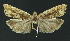  ( - NHMO-DAR-11072)  @13 [ ] CreativeCommons - Attribution Non-Commercial Share-Alike (2016) Unspecified University of Oslo, Natural History Museum