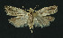  ( - NHMO-DAR-11088)  @13 [ ] CreativeCommons - Attribution Non-Commercial Share-Alike (2016) Unspecified University of Oslo, Natural History Museum