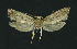  ( - NHMO-DAR-11089)  @13 [ ] CreativeCommons - Attribution Non-Commercial Share-Alike (2016) Unspecified University of Oslo, Natural History Museum