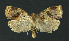  ( - NHMO-DAR-11120)  @14 [ ] CreativeCommons - Attribution Non-Commercial Share-Alike (2016) Unspecified University of Oslo, Natural History Museum