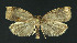  ( - NHMO-DAR-11122)  @13 [ ] CreativeCommons - Attribution Non-Commercial Share-Alike (2016) Unspecified University of Oslo, Natural History Museum