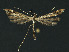  ( - NHMO-DAR-11180)  @13 [ ] CreativeCommons - Attribution Non-Commercial Share-Alike (2016) Unspecified University of Oslo, Natural History Museum