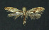  ( - NHMO-DAR-11219)  @13 [ ] CreativeCommons - Attribution Non-Commercial Share-Alike (2016) Unspecified University of Oslo, Natural History Museum