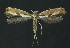  ( - NHMO-DAR-11221)  @13 [ ] CreativeCommons - Attribution Non-Commercial Share-Alike (2016) Unspecified University of Oslo, Natural History Museum