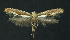  ( - NHMO-DAR-11222)  @13 [ ] CreativeCommons - Attribution Non-Commercial Share-Alike (2016) Unspecified University of Oslo, Natural History Museum