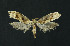  ( - NHMO-DAR-11234)  @12 [ ] CreativeCommons - Attribution Non-Commercial Share-Alike (2016) Unspecified University of Oslo, Natural History Museum