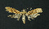  ( - NHMO-DAR-11241)  @12 [ ] CreativeCommons - Attribution Non-Commercial Share-Alike (2016) Unspecified University of Oslo, Natural History Museum