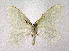  ( - NHMO-DAR-11361)  @14 [ ] CreativeCommons - Attribution Non-Commercial Share-Alike (2016) Unspecified University of Oslo, Natural History Museum