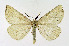  ( - NHMO-DAR-11390)  @11 [ ] CreativeCommons - Attribution Non-Commercial Share-Alike (2016) Unspecified University of Oslo, Natural History Museum