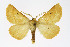  ( - NHMO-DAR-11406)  @14 [ ] CreativeCommons - Attribution Non-Commercial Share-Alike (2016) Unspecified University of Oslo, Natural History Museum