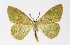  ( - NHMO-DAR-11413)  @14 [ ] CreativeCommons - Attribution Non-Commercial Share-Alike (2016) Unspecified University of Oslo, Natural History Museum