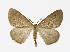  ( - NHMO-DAR-11415)  @14 [ ] CreativeCommons - Attribution Non-Commercial Share-Alike (2016) Unspecified University of Oslo, Natural History Museum