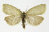  ( - NHMO-DAR-11774)  @11 [ ] CreativeCommons - Attribution Non-Commercial Share-Alike (2017) Unspecified University of Oslo, Natural History Museum