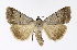  ( - NHMO-DAR-11777)  @14 [ ] CreativeCommons - Attribution Non-Commercial Share-Alike (2017) Unspecified University of Oslo, Natural History Museum