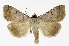  ( - NHMO-DAR-11779)  @14 [ ] CreativeCommons - Attribution Non-Commercial Share-Alike (2017) Unspecified University of Oslo, Natural History Museum