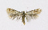  ( - NHMO-DAR-11791)  @14 [ ] CreativeCommons - Attribution Non-Commercial Share-Alike (2017) Unspecified University of Oslo, Natural History Museum