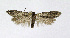  ( - NHMO-DAR-11837)  @13 [ ] CreativeCommons - Attribution Non-Commercial Share-Alike (2017) Unspecified University of Oslo, Natural History Museum