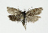  ( - NHMO-DAR-11843)  @13 [ ] CreativeCommons - Attribution Non-Commercial Share-Alike (2017) Unspecified University of Oslo, Natural History Museum