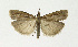  ( - NHMO-DAR-11867)  @13 [ ] CreativeCommons - Attribution Non-Commercial Share-Alike (2017) Unspecified University of Oslo, Natural History Museum