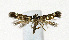  ( - NHMO-DAR-11874)  @13 [ ] CreativeCommons - Attribution Non-Commercial Share-Alike (2017) Unspecified University of Oslo, Natural History Museum