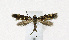  ( - NHMO-DAR-11875)  @13 [ ] CreativeCommons - Attribution Non-Commercial Share-Alike (2017) Unspecified University of Oslo, Natural History Museum