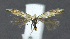  ( - NHMO-DAR-11880)  @13 [ ] CreativeCommons - Attribution Non-Commercial Share-Alike (2017) Unspecified University of Oslo, Natural History Museum